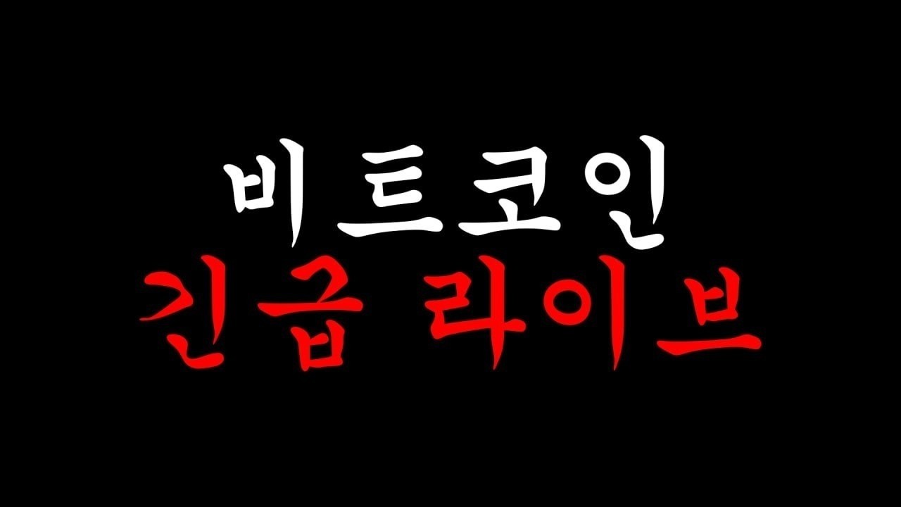 차트 분석